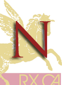 N_lettera
