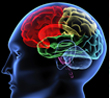 NEUROLOGIA NEUROLOGIA