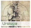 ANDROLOGIA E UROLOGIA ANDROLOGIA E UROLOGIA