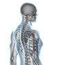 PREVENZIONE OSTEOPOROSI E MALATTIE DEL METABOLISMO OSSEO PREVENZIONE OSTEOPOROSI E MALATTIE DEL METABOLISMO OSSEO