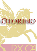 OTORINOLARINGOIATRIA