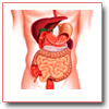 GASTROENTEROLOGIA