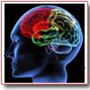 NEUROLOGIA